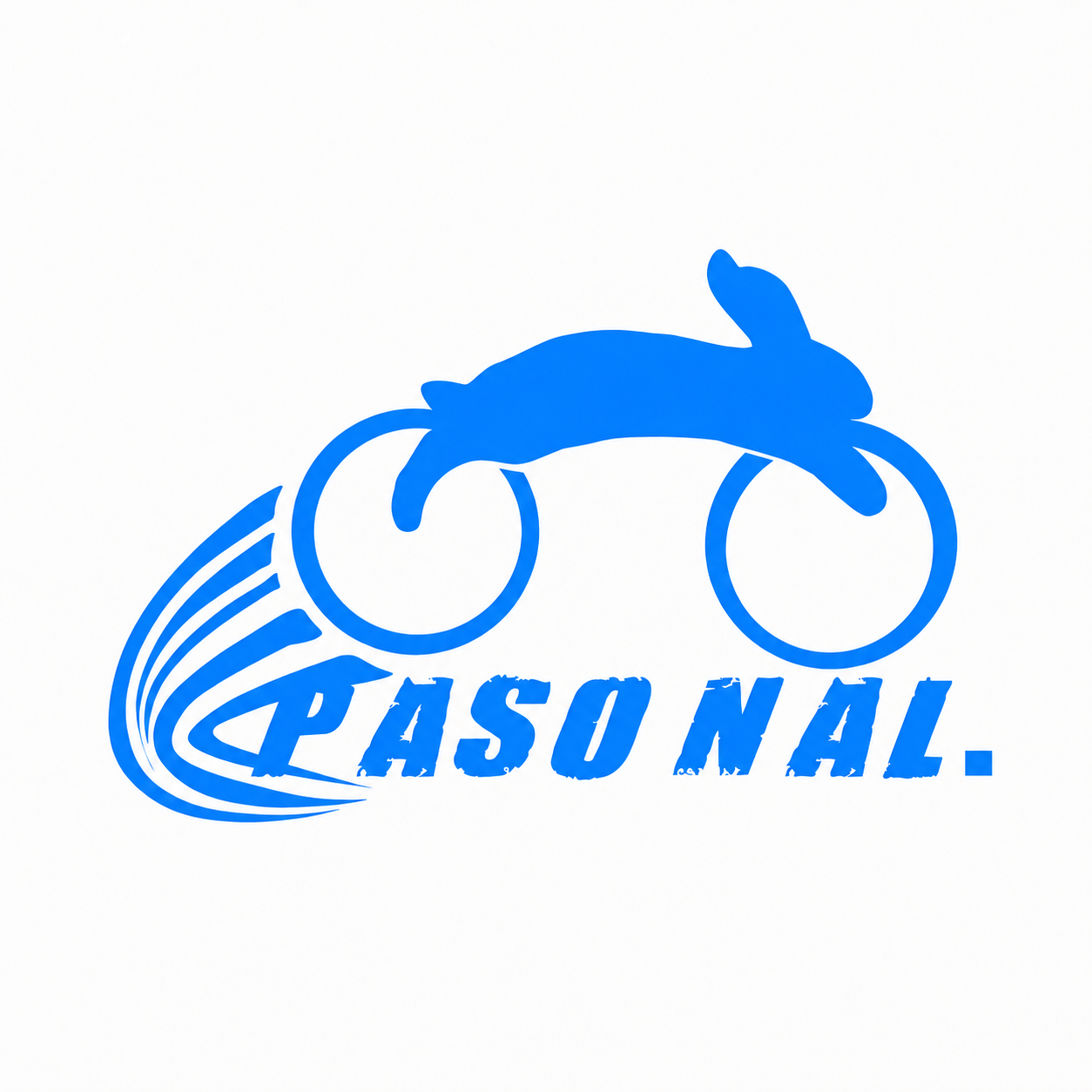 TOUR PASO NAL 100K
